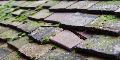 Stonehouse roof repair costs